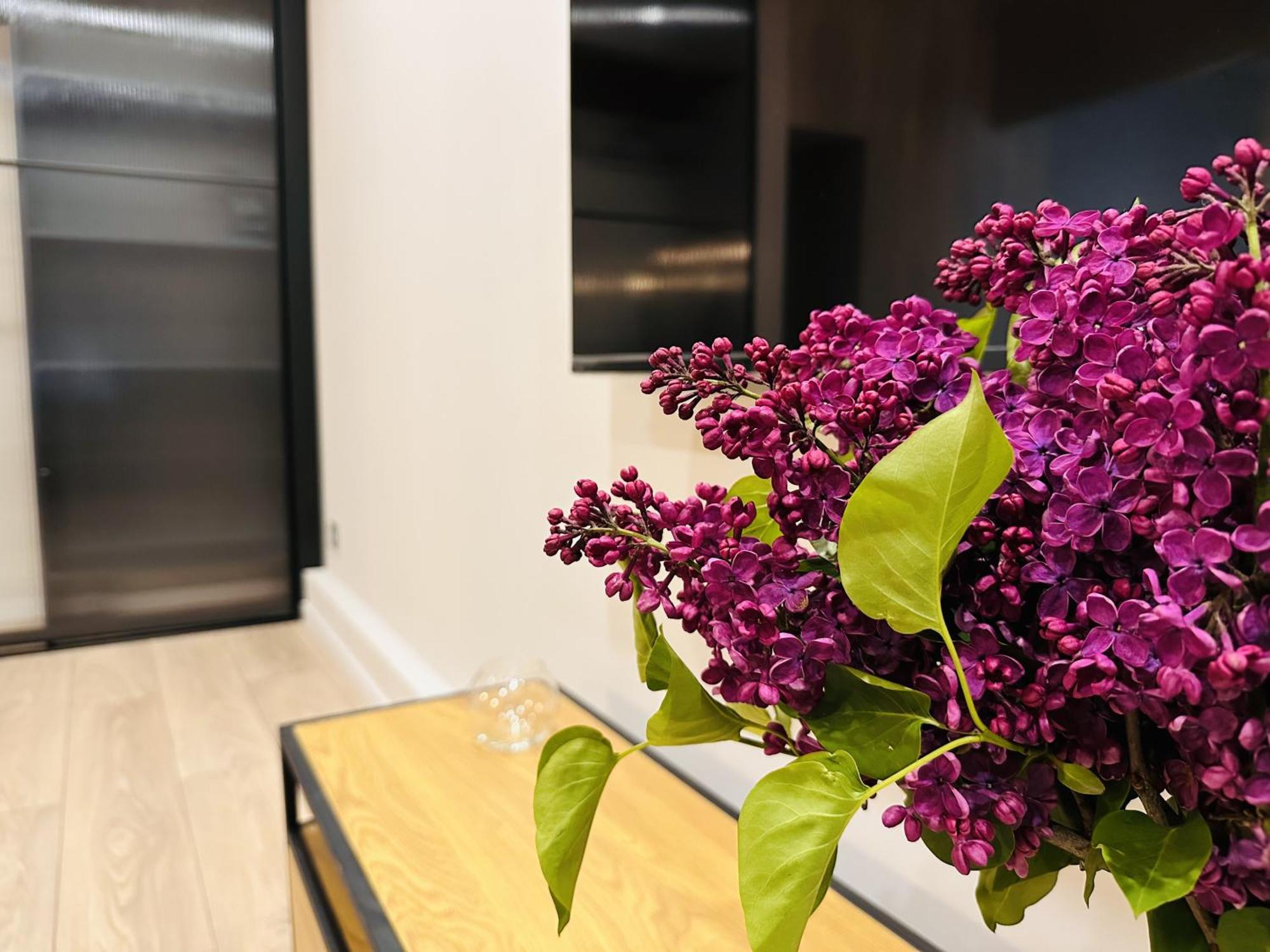 Freedom Apartments In The Heart Of Lviv - Balabana Str And Svoboda Avenue Екстер'єр фото